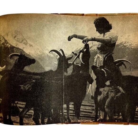 Pictures Of Bavaria 1914 Military WW1 Photograph Booklet For US Troops RARE HBS - Picture 9 of 9